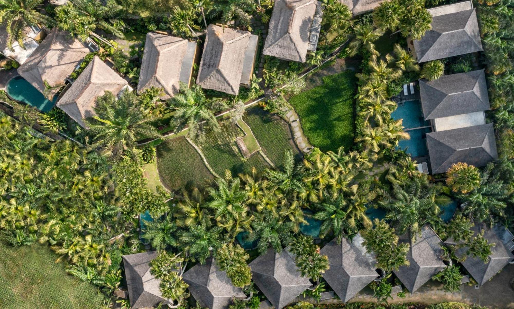 The Sankara Resort By Pramana Ουμπούντ Εξωτερικό φωτογραφία